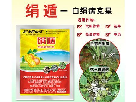 亚洲第一体育吉祥：一粒玉米撬动蛋白供应格式